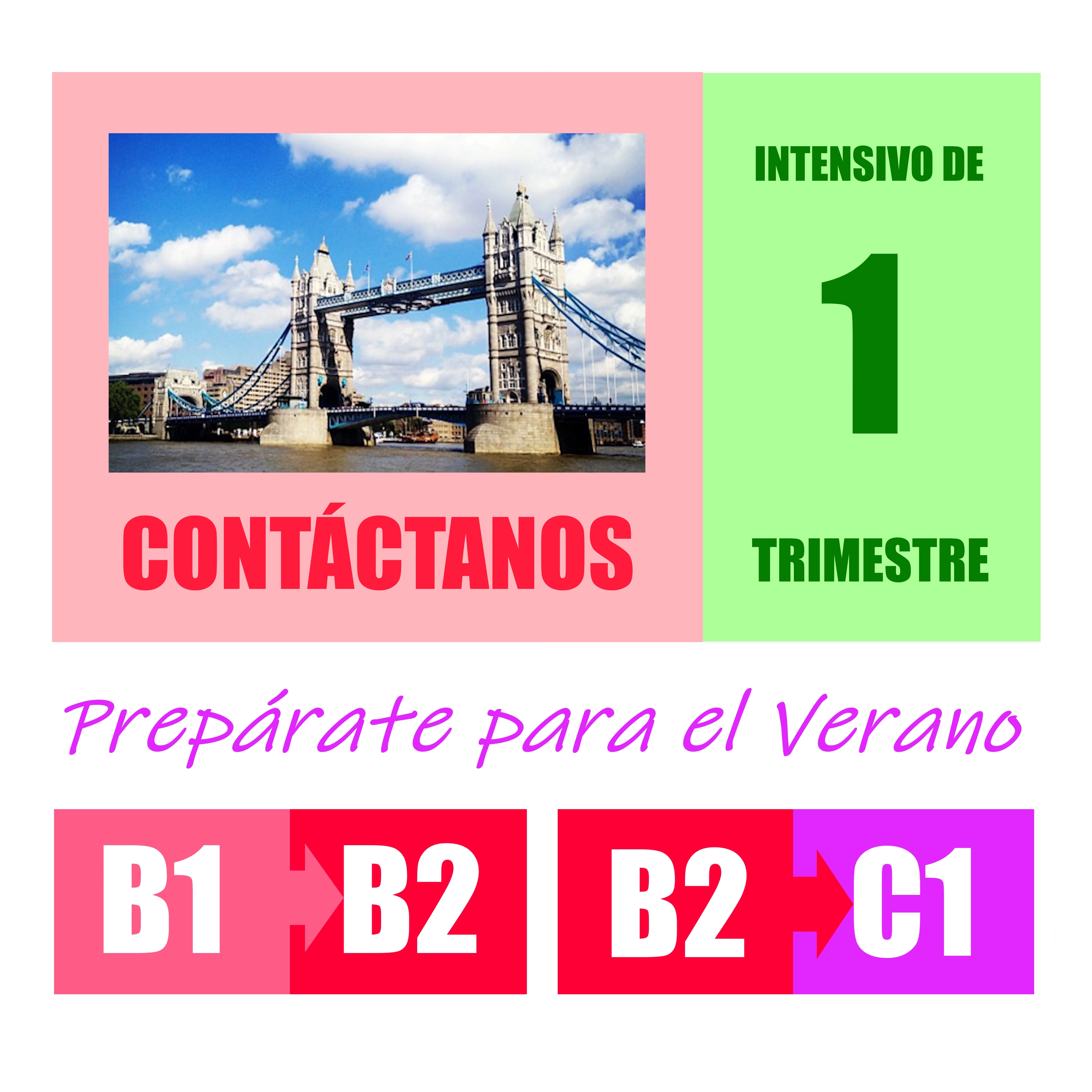INTENSIVO ALTO RENDIMIENTO - 240